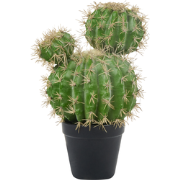 Beliani BALL CACTUS - Kunstplant-Groen-Synthetisch materiaal