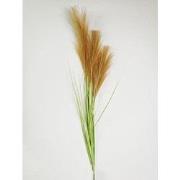 Pampas gras 80cm met blad bruin