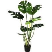 Monstera 110 cm