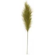 Pampas Gras 60 cm Mos groen kunstplant