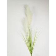 Pampas gras 80cm met blad creme