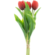 Bosje kunst tulpen Holland Sally X5 red 36 cm