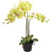 Orchidee kunstplant 3-tak 68 cm, groen