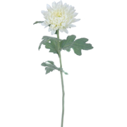 Witte kunstchrysantenstam H47