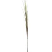 Feuillage Herbes tombantes - Vert et bordeaux / 121 cm