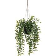 Mica Decorations Ficus Kunst Hangplant in Pot - H46 x Ø20 cm - Groen