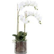 Kunstmatig orchideeën arrangement met transparante witte vaas H60