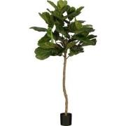 Mica Decorations Ficus Lyrata Kunstplant - H165 x Ø95 - Groen