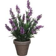 Mica Decorations Lavendel Kunstplant in Bloempot Stan - H33 x Ø20 cm -...