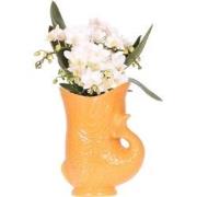 Kolibri Orchids | Witte orchidee 'Nazaré' + Fish pot oranje - potmaat ...