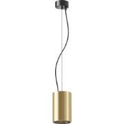 Maytoni Technical - Hanglamp Efir - Mat goud - Ø9,5