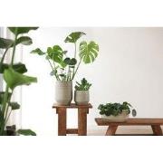 HS Potterie Delhi Pot Groen - 14