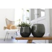 HS Potterie Bari Groen - 18