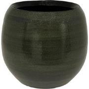 HS Potterie Bari Groen - 26