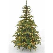 Triumph Tree Kunstkerstboom Aurora - 192LED - Warmwit - H155xØ86 - Gro...