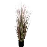 Mica Decorations dogtail gras paars in plastic pot d15 maat in cm: 120