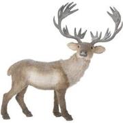 House of Seasons Eland Kerstmis Figuur - 79x34x84 cm - Schuim - Bruin