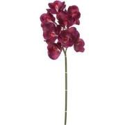 Mica Decorations orchidee maat in cm: 75 paars