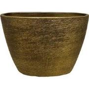 HS Potterie Osaka Pot Goud - 26