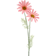 Daisy Cordoba spray pink 56 cm kunstbloem