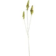 PTMD Kunstplant Berry - 64x38x124 cm - Polyester - Groen