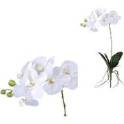 PTMD Kunstbloem Orchid - 60x30x74 cm - Polyester - Wit