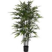 Mica Decorations bamboe h140d95 groen met zwarte stammen