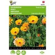 5 stuks - Calendula officinalis Touch of Red mixed Tuinplus