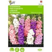 2 stuks - Delphinium Ajacis Hyacinthbloemig Gemengd