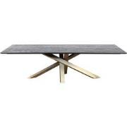 PTMD Alore Brown Gold Diningtable Rectangle  240 Cm