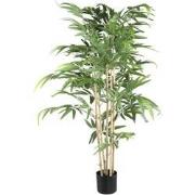 PTMD Leaves Plant Bamboo Plant With Leaves In Black Pot