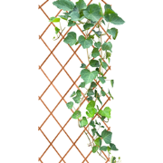 HIXA Klimrek Planten - Trellis - Plantenrek - Buiten en Binnen - Muur ...