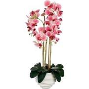 Mica Decorations Kunstplant Phalaenopsis - 40x34x82 cm - Polyester - R...