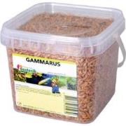 Gammarus 1.2 liter