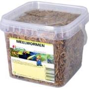 Meelwormen 1.2 liter