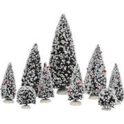 Evergreen bomen 50x30x45 cm