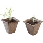 3 stuks - Turfpot H6x6x6cm set a 16 stuks