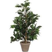 Mica Decorations Ficus Exotica Kunstplant - H65xØ 40 cm - Groen