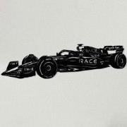 Rootsmann Formule 1 Raceauto Wanddecoratie | Zwart