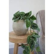 HS Potterie Taupe Pot Tokio - D20xH18