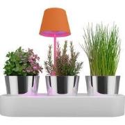 Sompex tafellamp | PEEKY | Oranje | Oplaadbaar | Accu De nieuwe PEEKY ...