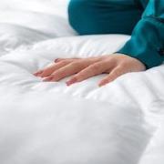 Lanotte® - Dekbed 15%/85% Dons-Veren - 240x200 cm