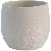 HS Potterie Lugo Ivoor - 18