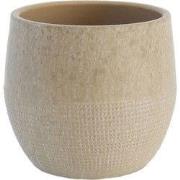 HS Potterie Lugo Beige - 14