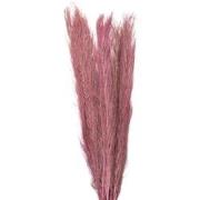 Clayre & Eef Droogbloemen  100 cm Bruin Droogbloemen Droogboeket