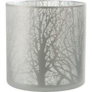 J-Line - Windlicht Boom Glas Wit X-large - 29x29x29cm