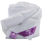 Silvana Donzen Dekbed Royale Paars (Medium-Koel)-1-persoons (140x220 c...
