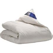 Ten Cate Dekbed - Donzen Dekbed 140x200 - 4 Seizoenen Dekbed - 60% Een...