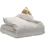 Ten Cate Dekbed - Donzen Dekbed 140x200 - 4 Seizoenen Dekbed - 90% Gan...
