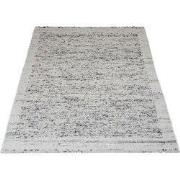 Vloerkleed Rano Grijs 160 x 230 cm